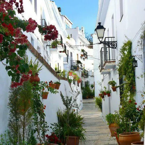 Apartamento Olivo 15H Frigiliana España